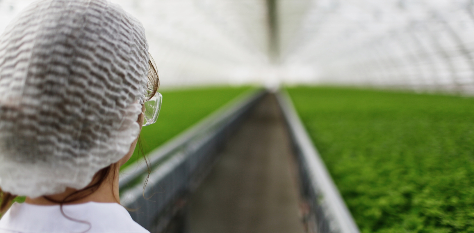 secteur-agroalimentaire-pontivy-56-le-bail-demenagement